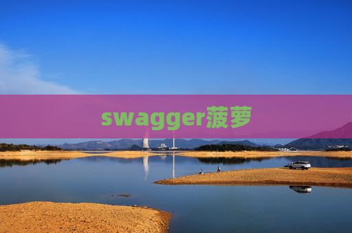 swagger菠萝 swagger菠萝